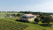 Vente Maison Saint-ciers-sur-gironde  9 pieces 364 m2