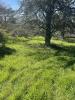Vente Terrain Gratentour  9842 m2