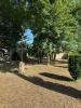 Vente Terrain Varennes-jarcy  720 m2