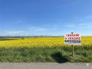 Vente Terrain Montbrun-lauragais 540 m2