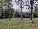 Vente Terrain Saint-caprais-de-bordeaux  1117 m2
