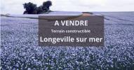 Vente Terrain Longeville-sur-mer  285 m2