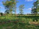 Vente Terrain Biscarrosse  750 m2
