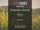 Vente Prestige Roussillon 