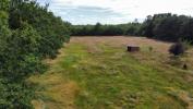 Vente Terrain Villefranche-sur-cher  9000 m2