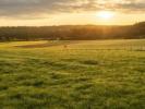 Vente Terrain Bonnoeuvre VALLONS-DE-L'ERDRE 380 m2