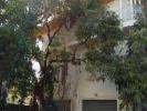 Vente Maison Saint-pierre 