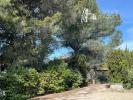 Vente Terrain Arles  4 pieces 3575 m2