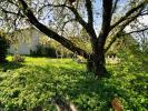 Vente Terrain Chasselay  541 m2