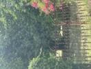 Vente Terrain Gujan-mestras  600 m2
