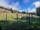 Vente Terrain Saint-julien ACCESSIBLE