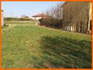Vente Terrain Pizay PIZAY