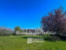 Vente Maison Pechbonnieu  7 pieces 146 m2