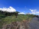 Vente Terrain Plaine-des-palmistes  469 m2