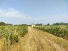 Vente Terrain Sainte-eulalie  31300 m2