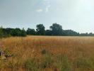 Vente Terrain Sainte-eulalie  32767 m2