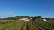 Vente Prestige Cuers  10 pieces 600 m2