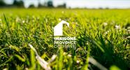 Vente Terrain Plan-d'orgon  400 m2