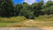 Vente Terrain Macouria  17254 m2