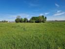 Vente Terrain Langon  582 m2