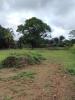 Vente Terrain Remire-montjoly  1000 m2