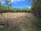 Vente Terrain Vauclin  1299 m2