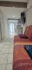 Location Appartement Perpignan  22 m2
