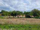 Vente Terrain Linars 830 m2