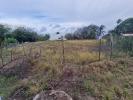 Vente Terrain Case-pilote  1000 m2