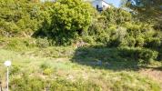 Vente Terrain Lodeve  808 m2