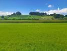 Vente Terrain Labastide-villefranche  11000 m2