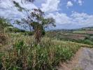 Vente Terrain Carbet  1595 m2