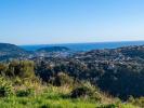 Vente Terrain Falicon  594 m2