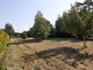 Vente Terrain Telgruc-sur-mer 