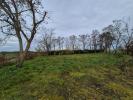 Vente Terrain Chapelle-saint-martin-en-plaine  1500 m2