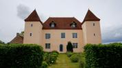 Vente Prestige Saint-martin-en-bresse  15 pieces 522 m2
