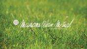 Vente Terrain Marlioz  1000 m2