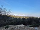 Vente Terrain Serra-di-fiumorbo  1500 m2
