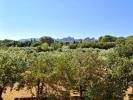 Vente Prestige Saint-remy-de-provence 8 pieces 255 m2