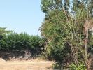Vente Terrain Nieul-sur-mer  1162 m2