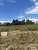 Vente Terrain Mans 