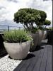 Vente Appartement Thoiry VILLAGE 3 pieces 65 m2