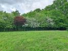 Vente Terrain Bouliac  950 m2