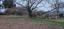 Vente Terrain Vezeronce-curtin  563 m2