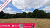 Vente Terrain Arnac-pompadour 8900 m2