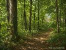 Vente Terrain Saint-just-en-chaussee  7431 m2