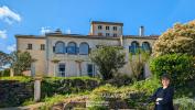 Vente Maison Palaja  10 pieces 270 m2