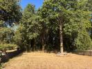 Vente Terrain Saint-gildas-de-rhuys  480 m2