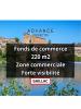 Vente Local commercial Gaillac  250 m2
