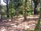 Vente Terrain Mayons  1200 m2